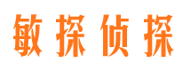 宏伟市侦探调查公司